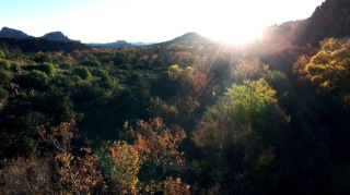 photo/fc0510a1-6dab-4bb8-9ada-956521c909ea-3